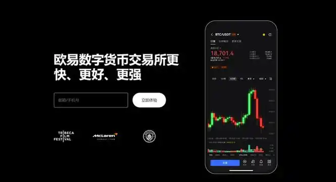 易欧平台官网入口平台展示图